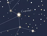 Артикул Cosmos-25: 13 30813, COSMOS 25:1, Wall street в текстуре, фото 1